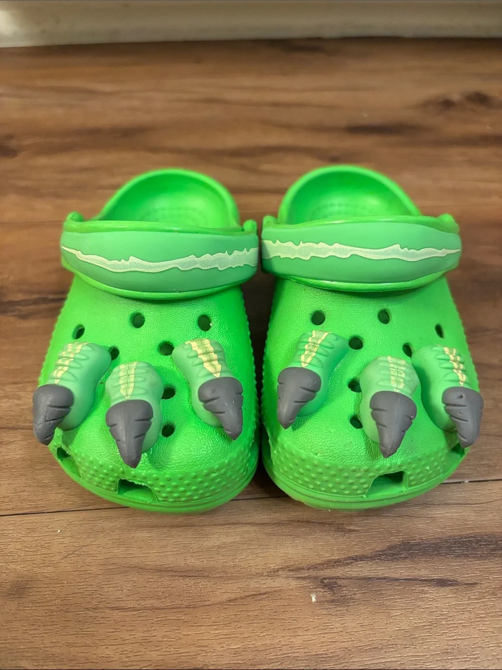 Dinosaur Claws Crocs Toddler Sz 6